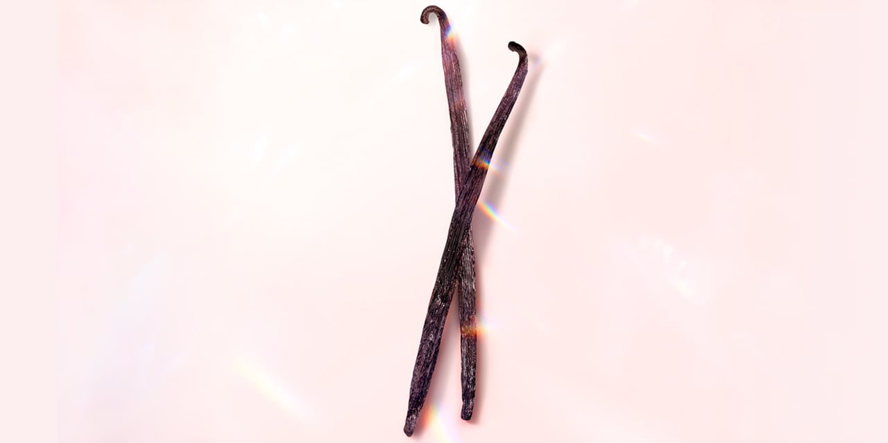 Vanilla Bean sticks used in perfumes for a vanilla scent.